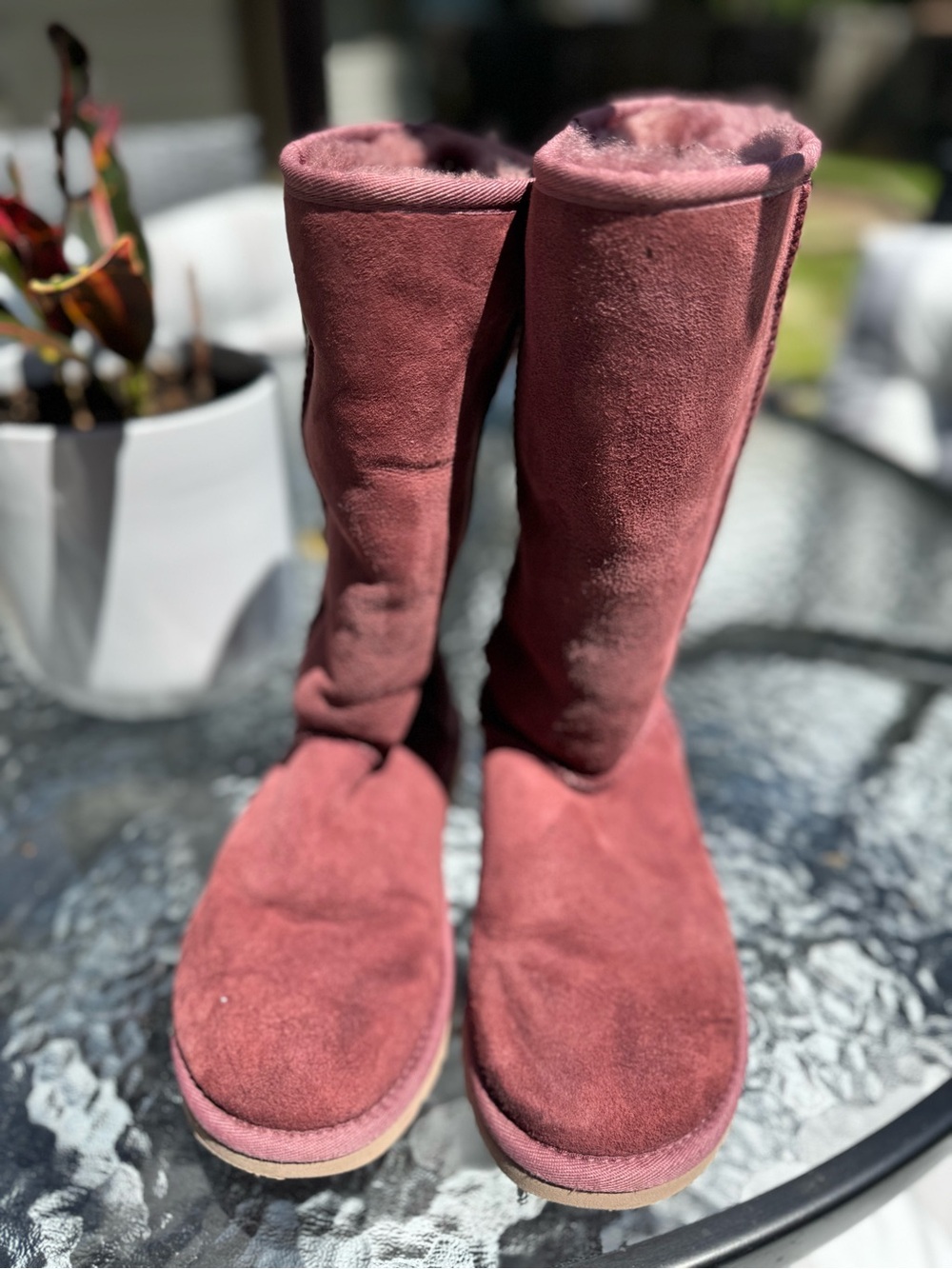 UGG- Women's Tall Suede Cozy Boots